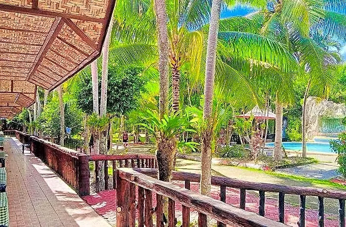 Coco Grove Nature Cebu